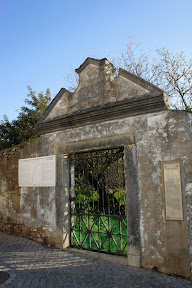 DSC06402.JPG