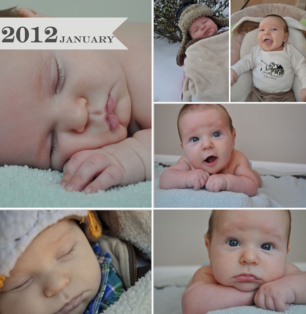 2012_January copy