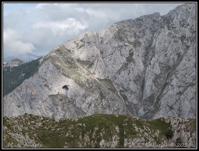 Picos 516 Picos 516