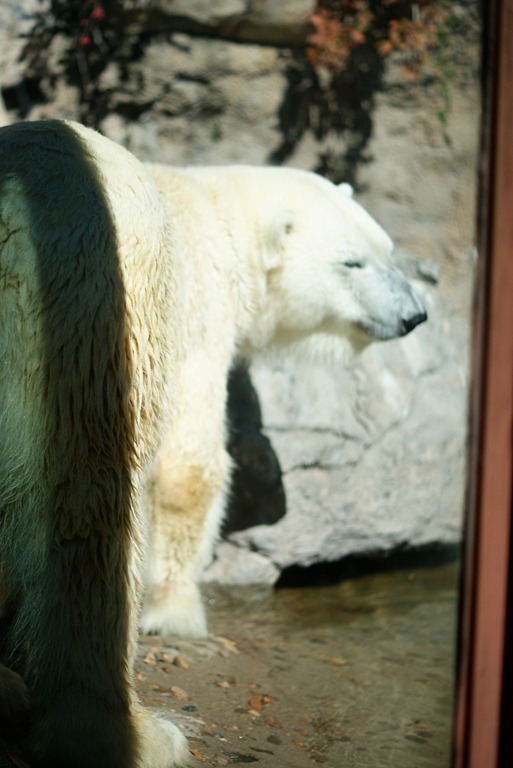 [DSC00817copy%255B11%255D.jpg]