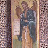 IMG_7384.jpg
