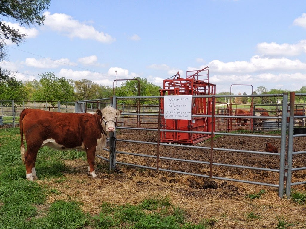 [DSCN9029%255B3%255D.jpg]