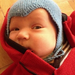 IMG_2231 IMG_2231