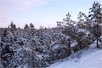 Winter landscape view Winter landscape view