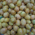 R0032374.JPG