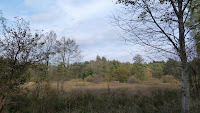 Czarny szlak w okolicach Truskawia Photo