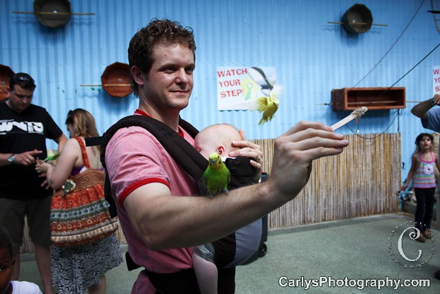 [Gatorland10of162.jpg]