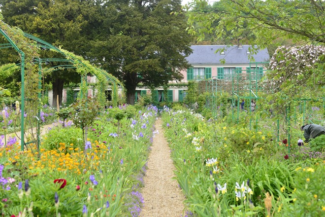 Video d. 2. juni 2013 – fra monets have claus dalby mit haveliv Monets blomster billeder