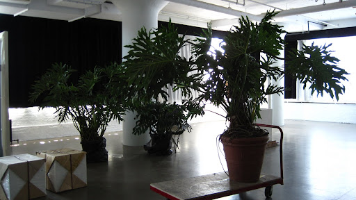 It made it into a photo studio along with the plants from the New York Botanic Garden.