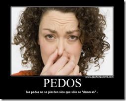 pedos se demoran 1 pedos se demoran 1
