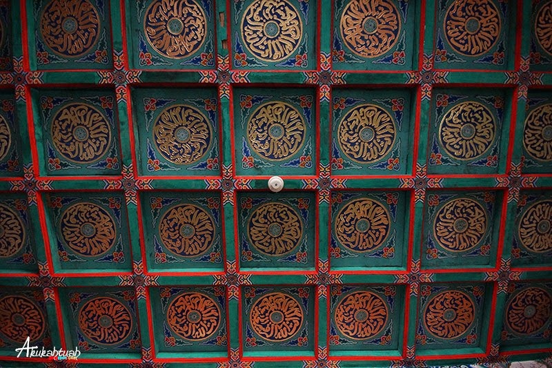 DSC02543 2 DSC02543 2