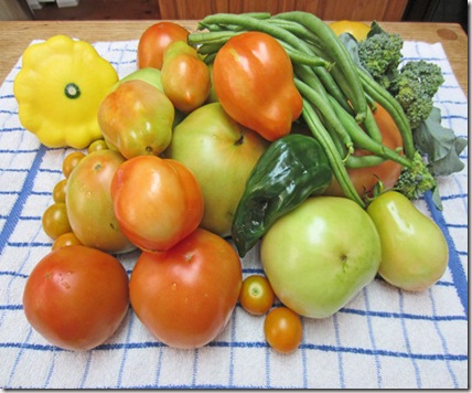 Tomatoes, poblano pepper, and beans