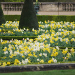 Versailles_094.JPG
