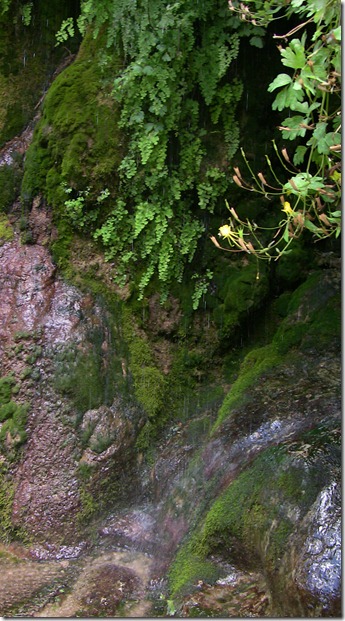 IMG_3840 IMG_3840