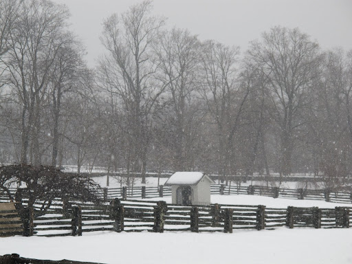 Hey, G.K.  It's awfully snowy outside, again!  We should check on our pals, the donkeys and see how they're holding up.