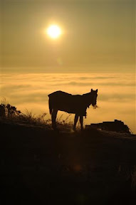 Peak District  (25).JPG