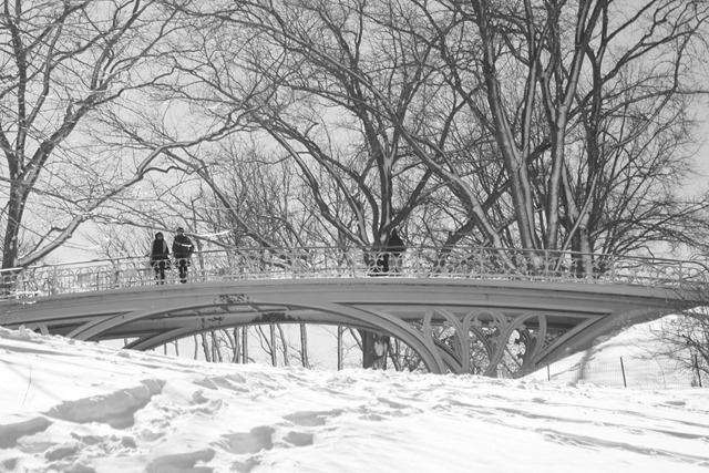 [bridge-snow-central-park-nyc%255B3%255D.jpg]