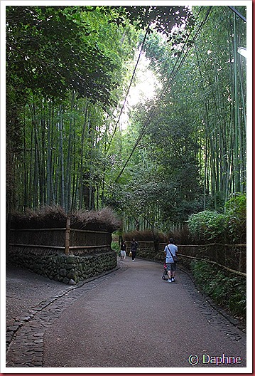 IMG_5125 IMG_5125