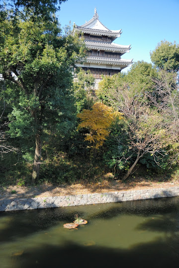 西尾城 本丸丑寅櫓