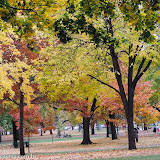 Outono no Parque - Toronto, Ontario, Canadá