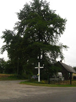 krzyżówka Photo