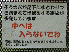 DSC08429 DSC08429