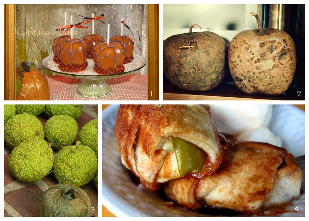 [Features%252020%2520apple%2520collage%255B8%255D.jpg]