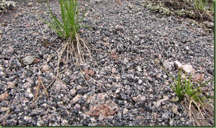Obsidian Gravel Obsidian Gravel