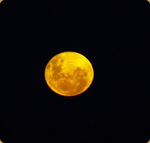 Full moon - May 2013