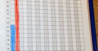 Luckeyfrog's Lilypad: Teaching Fluency with Fluency Folders