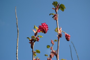 DSC_0216 DSC_0216