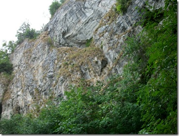 IMG_1871 IMG_1871