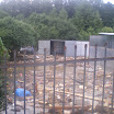 IMGP0549.JPG