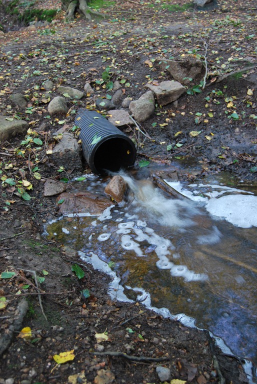 [Tur%2520i%2520skogen%2520sept%252011%2520052%255B6%255D.jpg]
