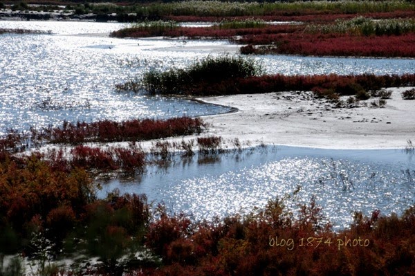 [SYG_4487%255B2%255D.jpg]