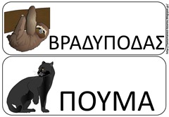 ΖΩ7 ΖΩ7