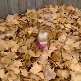 FALL09