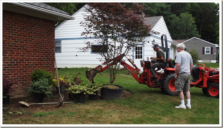 landscaping front planted 007