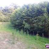 Aalten, zwembad, foto 25.jpg