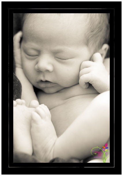 NewbornSiblings-3327