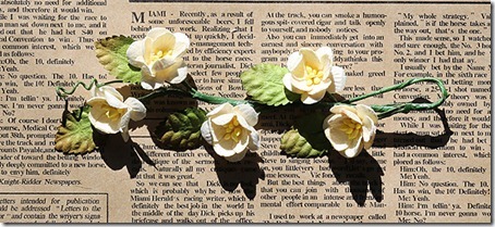 862A0081 - Copy 862A0081 - Copy