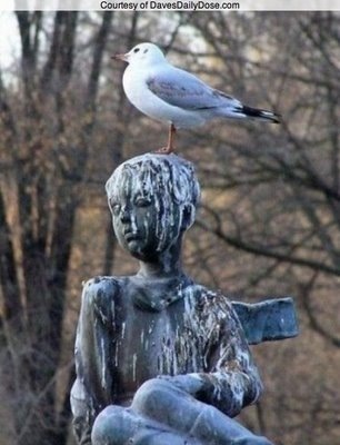 [Estatua%2520e%2520pombo%255B2%255D.jpg]