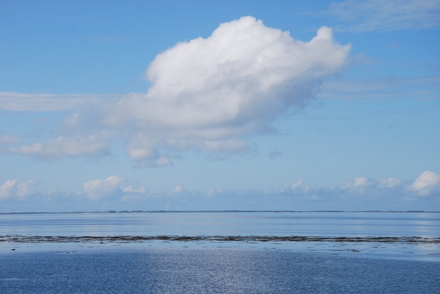 [DSC_5155%255B4%255D.jpg]