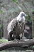 DSC_0289.JPG