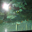 IMG_3613.JPG