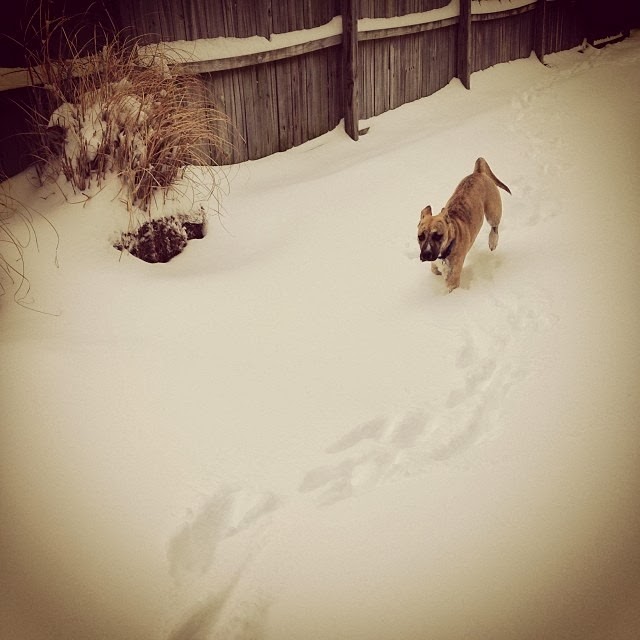 [7743_724496904240727_1413771917_n%255B3%255D.jpg]