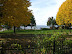 Burlington park along the waterfront, by Suzanne Russo