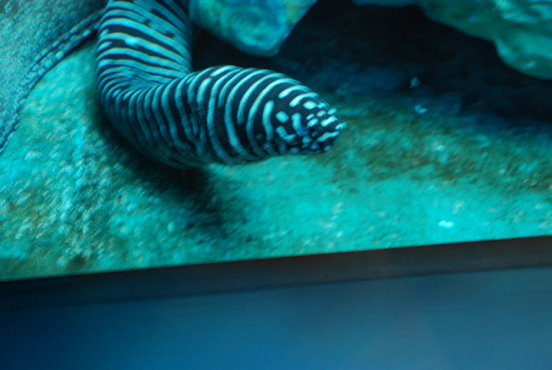 hokkaido_527.jpg