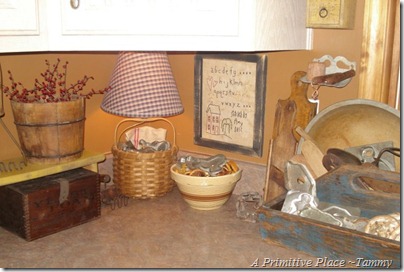 A Primitive Place ~Tammy