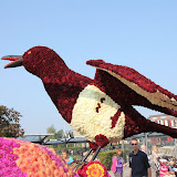 img_2715.jpg
